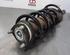 Shock Absorber FORD TRANSIT V363 Bus (FAD, FBD)