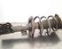 Shock Absorber HYUNDAI i30 (GD), HYUNDAI i30 Coupe