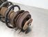 Shock Absorber FIAT 500 (312_), FIAT 500 C (312_)