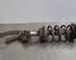 Shock Absorber AUDI A6 Allroad (4GH, 4GJ, C7), AUDI A6 Avant (4G5, 4GD, C7), AUDI A7 Sportback (4GA, 4GF)