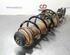 Shock Absorber RENAULT CAPTUR II (HF_)