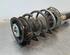 Shock Absorber VW PASSAT B8 Variant (3G5, CB5), VW PASSAT (3G2, CB2)