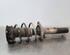 Shock Absorber VW PASSAT B8 Variant (3G5, CB5), VW PASSAT (3G2, CB2)