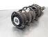 Shock Absorber VW TOURAN (5T1)