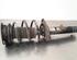 Shock Absorber VW TOURAN (5T1)