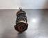 Shock Absorber RENAULT KANGOO Express (FW0/1_)