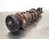 Shock Absorber RENAULT TRAFIC III Van (FG_)