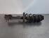 Shock Absorber FIAT PANDA (312_, 319_), LANCIA YPSILON (312_), FIAT PANDA VAN (312_, 519_)