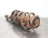 Shock Absorber FORD TRANSIT V363 Bus (FAD, FBD)