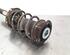 Shock Absorber VW GOLF VIII (CD1)