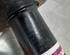 Shock Absorber TOYOTA AURIS (_E18_), TOYOTA AURIS Estate (_E18_)