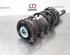 Shock Absorber VW GOLF VIII (CD1)