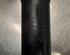 Shock Absorber SKODA SCALA (NW1)