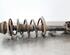 Shock Absorber DACIA DUSTER (HS_), DACIA DUSTER (HM_)