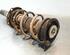 Shock Absorber SKODA KAROQ (NU7, ND7)