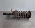 Shock Absorber VOLVO V70 III (135), VOLVO XC70 II (136)