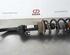 Shock Absorber AUDI A6 Avant (4G5, 4GD, C7)