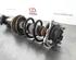 Shock Absorber AUDI A6 Avant (4G5, 4GD, C7)