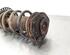 Shock Absorber RENAULT KANGOO Express (FW0/1_)