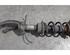 Shock Absorber AUDI A6 Avant (4G5, 4GD, C7)