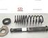 Shock Absorber FORD FOCUS III Turnier