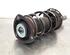 Shock Absorber AUDI A3 Sportback (8YA)