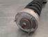 Shock Absorber BMW X5 (E70), BMW X6 (E71, E72)