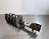 Shock Absorber CITROËN C4 III (BA_, BB_, BC_)