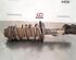 Shock Absorber FIAT TIPO Estate (356_), FIAT TIPO Hatchback (356_)