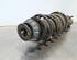 Shock Absorber HYUNDAI i10 III (AC3, AI3)