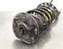 Shock Absorber VOLVO XC60 II (246)