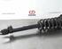 Shock Absorber MERCEDES-BENZ C-CLASS Convertible (A205)