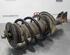 Shock Absorber OPEL MOVANO B Bus (X62), OPEL MOVANO B Van (X62), OPEL MOVANO B Platform/Chassis (X62)