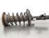 Shock Absorber VOLVO S60 II (134), VOLVO S60 II Cross Country (134)