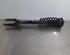 Shock Absorber MERCEDES-BENZ M-CLASS (W164)