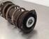 Shock Absorber AUDI A3 Sportback (8VA, 8VF)