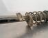 Shock Absorber SKODA SCALA (NW1)