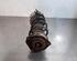 Shock Absorber RENAULT KANGOO Express (FW0/1_)