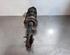 Shock Absorber RENAULT KANGOO Express (FW0/1_)