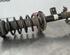 Shock Absorber LAND ROVER FREELANDER 2 (L359)