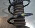 Shock Absorber RENAULT CLIO IV (BH_)