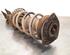 Shock Absorber RENAULT KANGOO Express (FW0/1_)