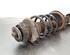 Shock Absorber DACIA DUSTER (HS_), DACIA DUSTER SUV Van