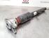 Shock Absorber BMW 3 (G20, G80)