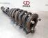 Shock Absorber MITSUBISHI L200 / TRITON (KJ_, KK_, KL_)