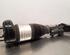 Shock Absorber MERCEDES-BENZ GLE (V167)