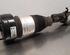 Shock Absorber MERCEDES-BENZ GLE (V167)