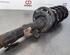 Shock Absorber FORD TRANSIT V363 Bus (FAD, FBD)