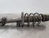 Shock Absorber VW POLO (6R1, 6C1)