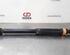 Shock Absorber RENAULT CAPTUR II (HF_)